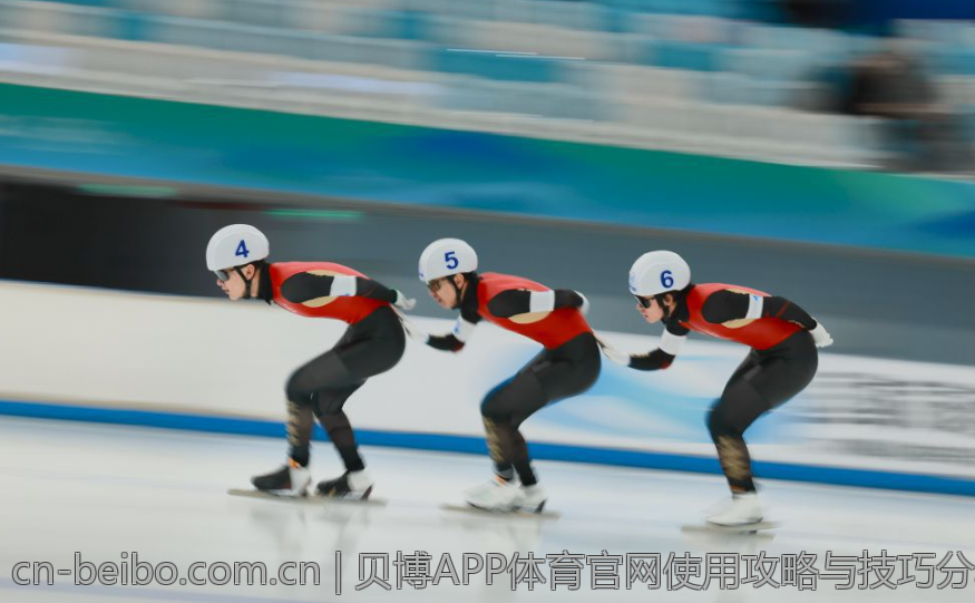 贝博APP体育官网使用攻略与技巧分享