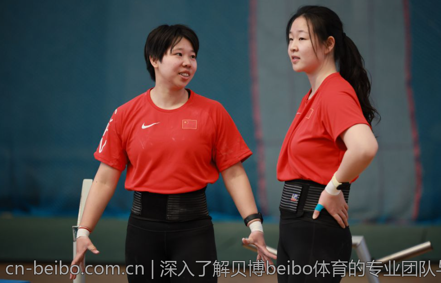 深入了解贝博beibo体育的专业团队与服务