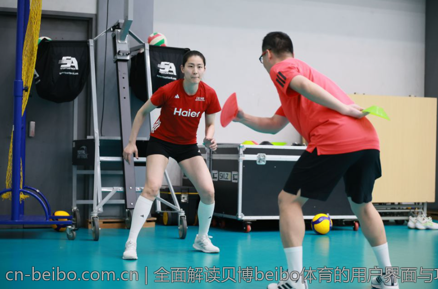全面解读贝博beibo体育的用户界面与功能
