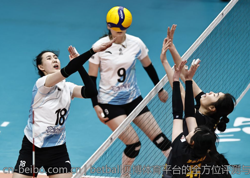 betball贝博体育平台的全方位评测与用户体验