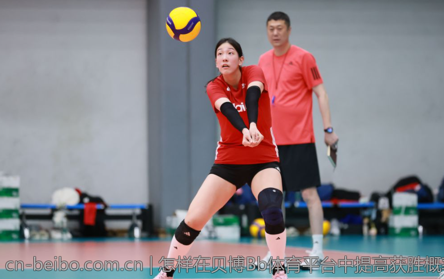 怎样在贝博Bb体育平台中提高获胜概率