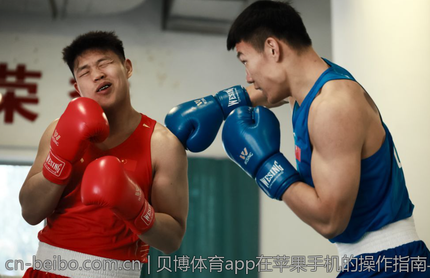 贝博体育app在苹果手机的操作指南与技巧